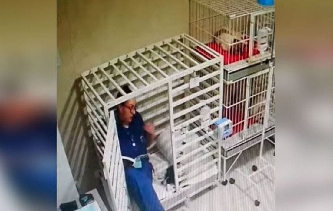 Captan a veterinaria leyéndole un cuento a un perrito